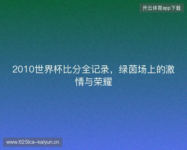 2010世界杯比分全记录，绿茵场上的激情与荣耀