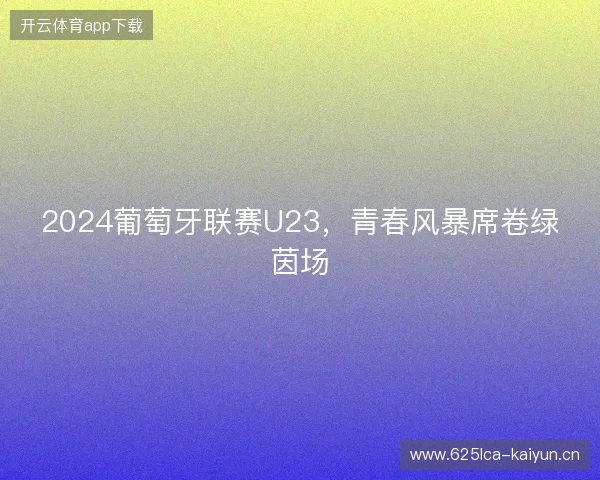2024葡萄牙联赛U23，青春风暴席卷绿茵场