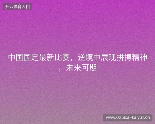 中国国足最新比赛，逆境中展现拼搏精神，未来可期
